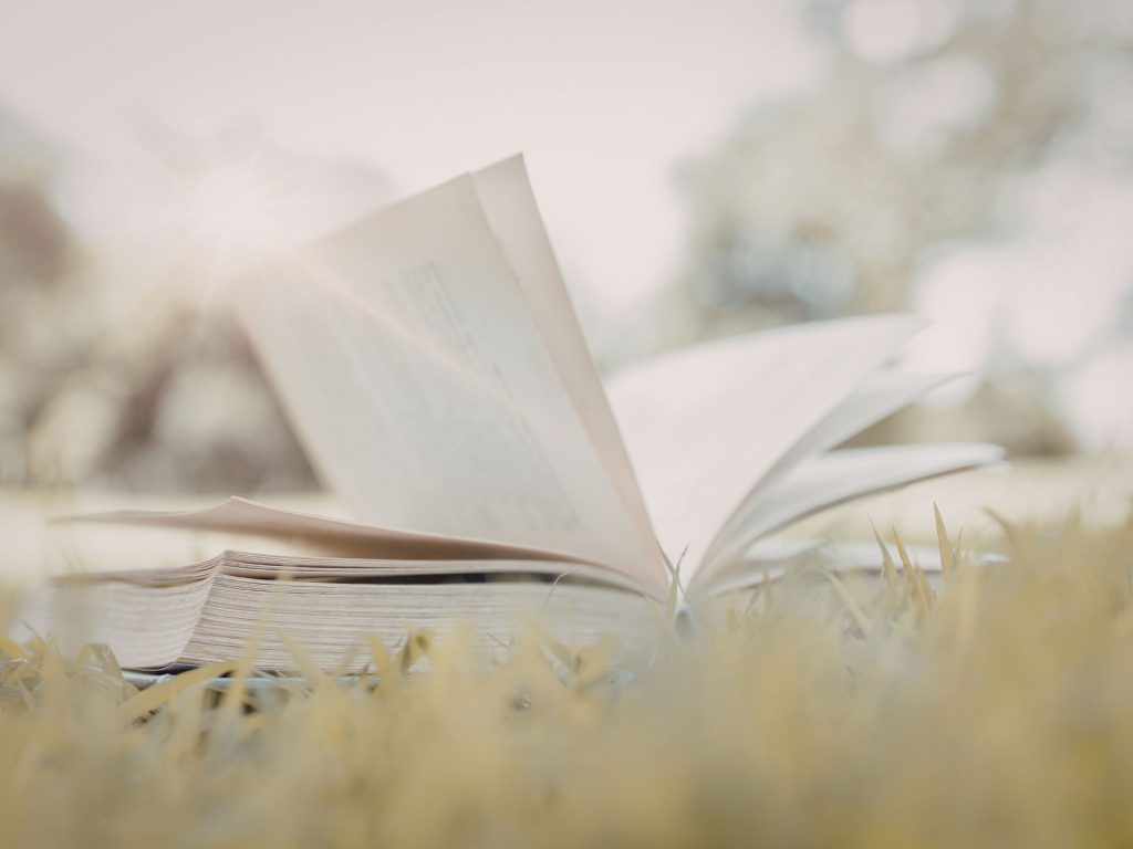 Writing a Novel About Teaching and Learning